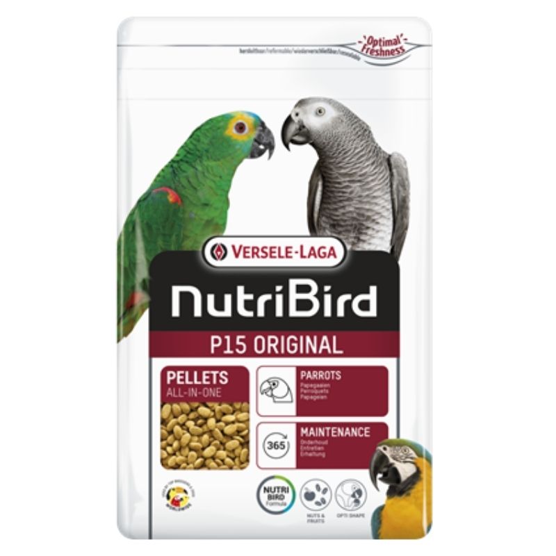 P15 כופתיות לתוכי גדול אורגינל