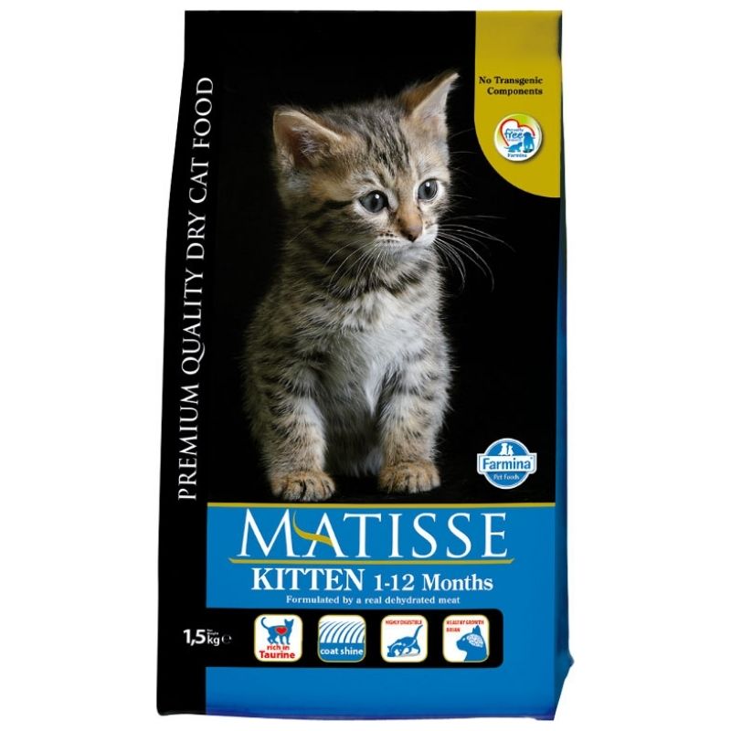 מאטיס לחתלתולים