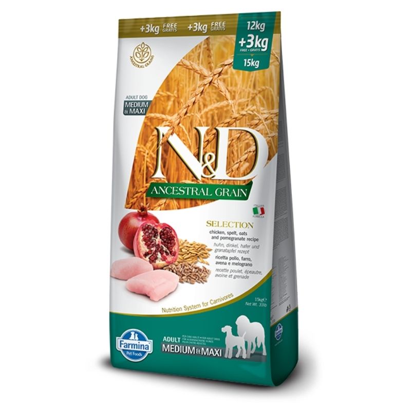 אנ די עוף לגזע בינוני גדול